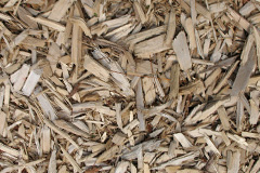 biomass boilers Myddlewood